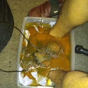 Meet your Posher, Andrea'smassaje